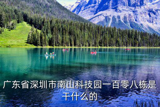 廣東省深圳市南山科技園一百零八棟是干什么的