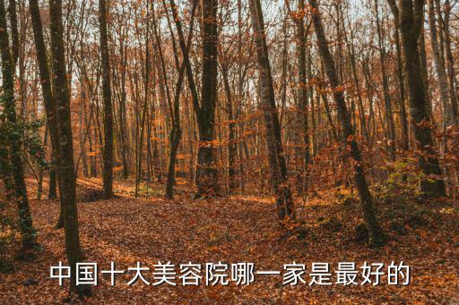 中國十大美容院哪一家是最好的