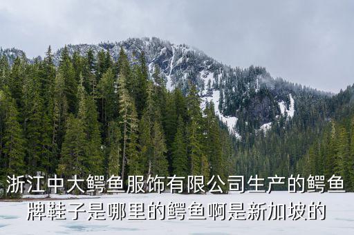 浙江中大鱷魚服飾有限公司生產的鱷魚牌鞋子是哪里的鱷魚啊是新加坡的