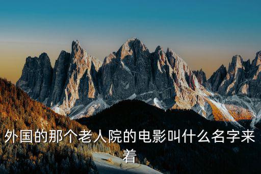 外國的那個老人院的電影叫什么名字來著