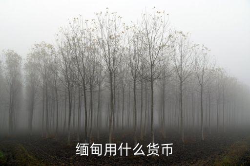 緬甸用什么貨幣