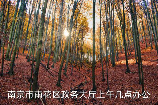 雨花臺區政府，南京市雨花區政務大廳上午幾點辦公