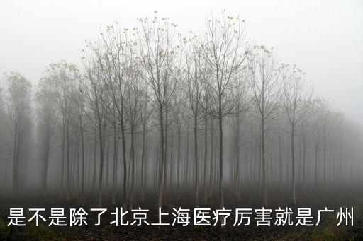 廣州醫療，是不是除了北京上海醫療厲害就是廣州