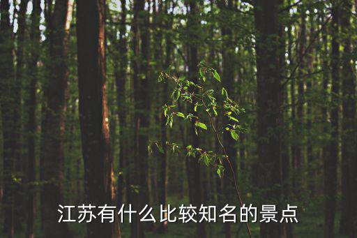 江蘇有什么比較知名的景點(diǎn)
