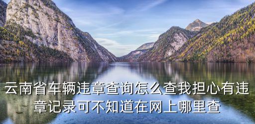 云南省車輛違章查詢怎么查我擔心有違章記錄可不知道在網上哪里查