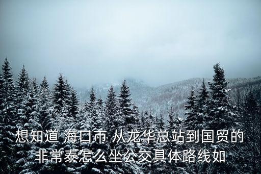 想知道 海口市 從龍華總站到國(guó)貿(mào)的非常泰怎么坐公交具體路線如