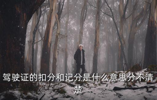 駕駛證的扣分和記分是什么意思分不清楚