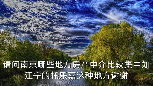 南京中介，請問南京哪些地方房產中介比較集中如江寧的托樂嘉這種地方謝謝