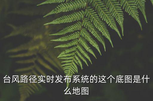 臺風路徑實時發布系統的這個底圖是什么地圖