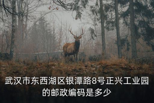 武漢市東西湖區(qū)銀潭路8號正興工業(yè)園的郵政編碼是多少