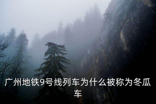 廣州地鐵9號線列車為什么被稱為冬瓜車