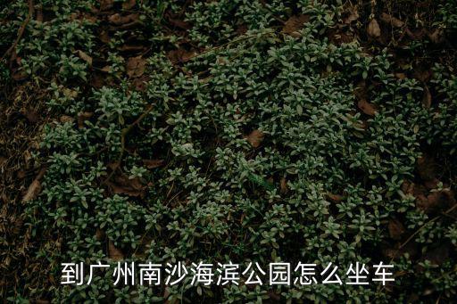 到廣州南沙海濱公園怎么坐車