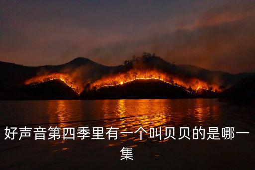 好聲音第四季里有一個叫貝貝的是哪一集