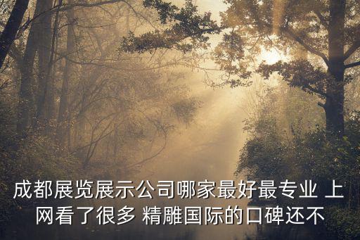 成都展覽展示公司哪家最好最專業 上網看了很多 精雕國際的口碑還不