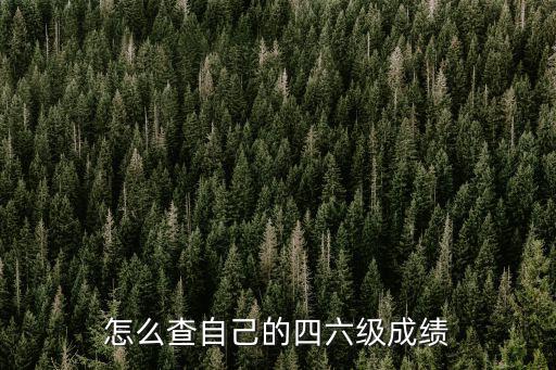 怎么查自己的四六級成績