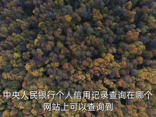 中央人民銀行個人信用記錄查詢在哪個網站上可以查詢到