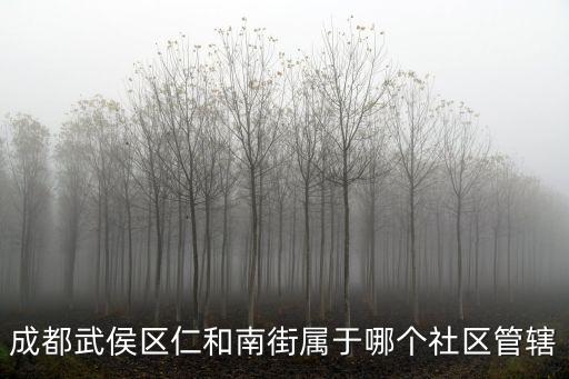 成都武侯區仁和南街屬于哪個社區管轄