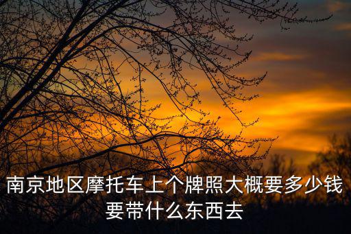 南京摩托車上牌，南京地區摩托車上個牌照大概要多少錢要帶什么東西去
