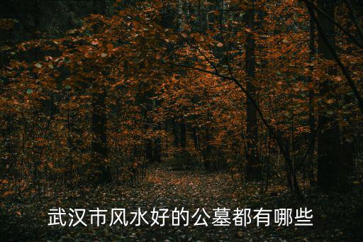 武漢市風水好的公墓都有哪些