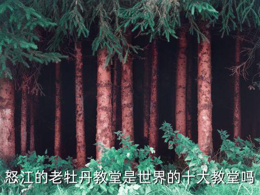 怒江的老牡丹教堂是世界的十大教堂嗎