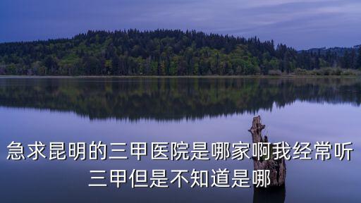 急求昆明的三甲醫院是哪家啊我經常聽三甲但是不知道是哪