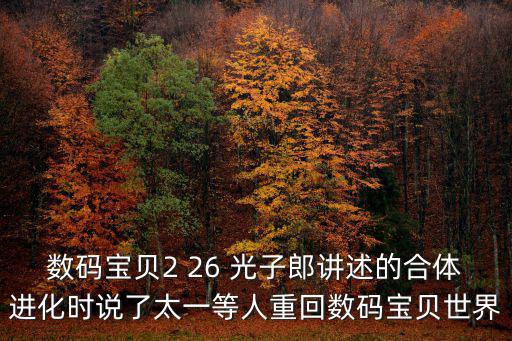 數(shù)碼寶貝2 26 光子郎講述的合體進(jìn)化時(shí)說(shuō)了太一等人重回?cái)?shù)碼寶貝世界