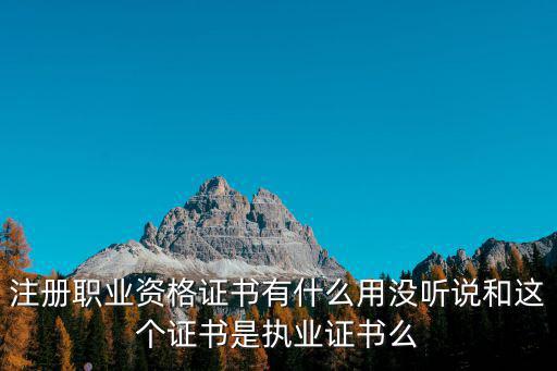 注冊(cè)職業(yè)資格證書有什么用沒聽說和這個(gè)證書是執(zhí)業(yè)證書么