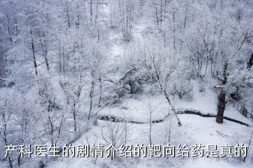 產科醫生的劇情介紹的靶向給藥是真的