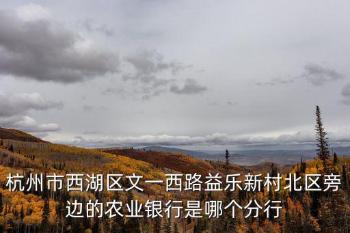 杭州市西湖區文一西路益樂新村北區旁邊的農業銀行是哪個分行
