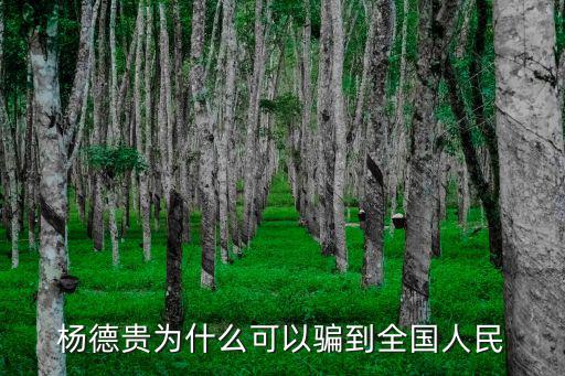 楊德貴為什么可以騙到全國人民