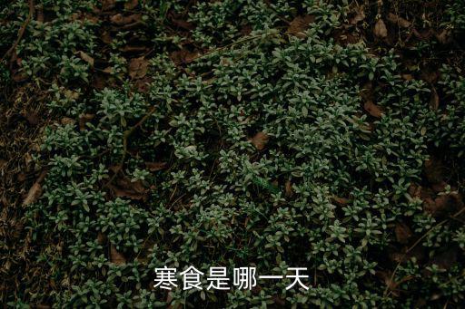 寒食是哪一天