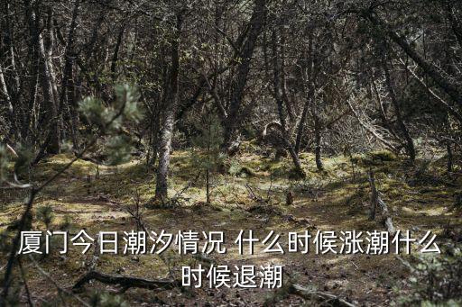 廈門今日潮汐情況 什么時候漲潮什么時候退潮