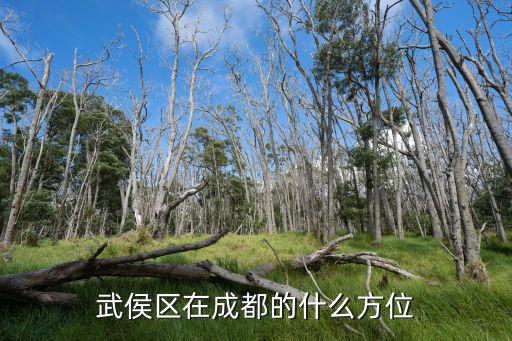 武侯區(qū)在成都的什么方位