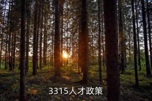 3315人才政策