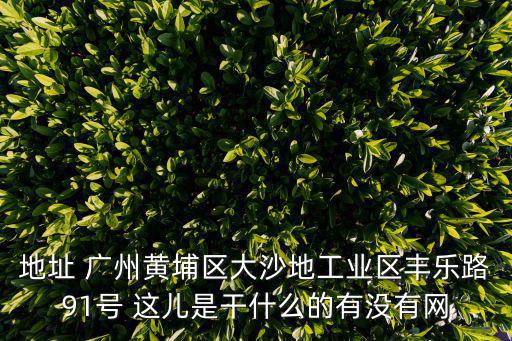 地址 廣州黃埔區大沙地工業區豐樂路91號 這兒是干什么的有沒有網