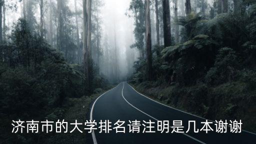 濟南的大學排名，濟南大學 青島理工大學 排名