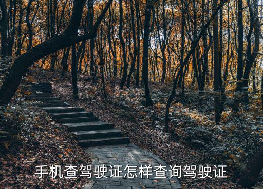 查駕駛證，機動車駕駛證查詢系統