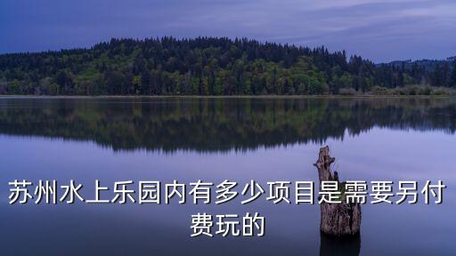 蘇州水上樂園內有多少項目是需要另付費玩的