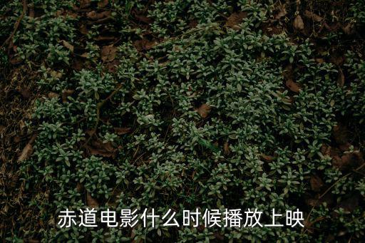 赤道電影什么時候播放上映