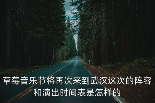 草莓音樂節將再次來到武漢這次的陣容和演出時間表是怎樣的