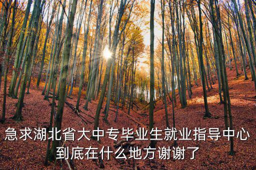 急求湖北省大中專畢業生就業指導中心到底在什么地方謝謝了