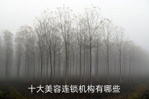 十大美容連鎖機構有哪些