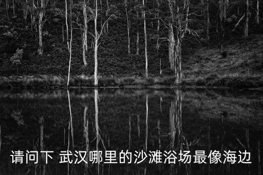 請問下 武漢哪里的沙灘浴場最像海邊