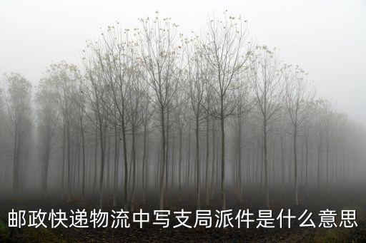 郵政快遞物流中寫支局派件是什么意思