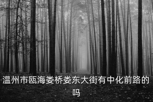 溫州市甌海婁橋婁東大街有中化前路的嗎