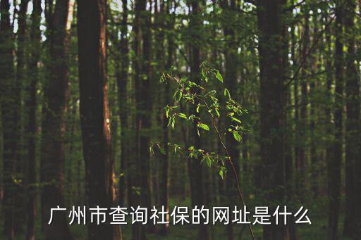 廣州市查詢社保的網址是什么