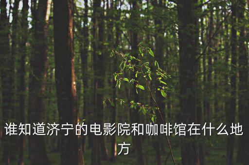 誰知道濟寧的電影院和咖啡館在什么地方