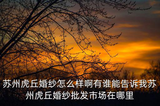 蘇州虎丘婚紗怎么樣啊有誰(shuí)能告訴我蘇州虎丘婚紗批發(fā)市場(chǎng)在哪里