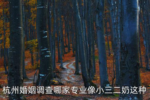 杭州婚姻調(diào)查哪家專業(yè)像小三二奶這種