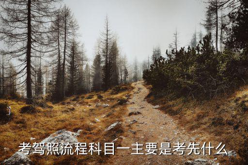 科一考試流程，考駕照流程科目一主要是考先什么